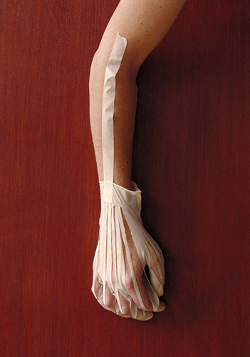 anatomical studies anatomische studies Musculature of the hand